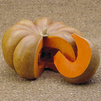 Гарбуз Мускат де Прованс 500 г середньостиглий, Tezier