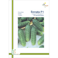 Огурец Соната F1 пчелоопыляемый ранний 20 семян европакет, Империя Семян