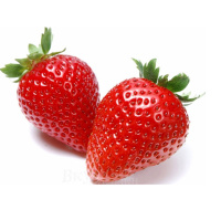 Защита КЛУБНИКИ на одну сотку сезонный набор препратов,  Syngenta