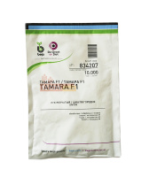 Цибуля Тамара F1 10000 насінин ріпчастий середньопізній, Bejo Zaden