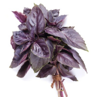 Базилік кімнатний фіолетовий Гранат 0,3г, Satimex