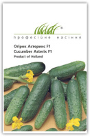 Огурец Астерикс F1 10 г, Bejo Zaden