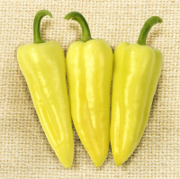 Перець Призма F1 500 насіння середньостиглий, Nong Woo Bio