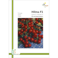 Томат Хилма F1 черри 10 семян европакет, Империя Семян