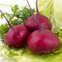 Свекла Борщевая на развес, Агролиния