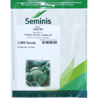 Капуста Вестри F1 2500 семян белокочанная среднепоздняя, Seminis