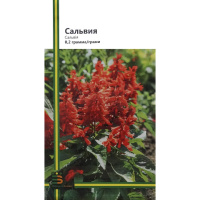 Сальвия 0,2 г красная, Империя Семян