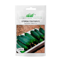 Огурец Гектор F1 50 шт, Nunhems Zaden