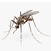 Средства от комаров
