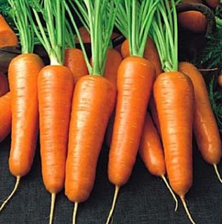 Морковь Роял Шансон 100 г ранняя, Seminis