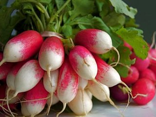 Редис Французский завтрак 1 кг ранний