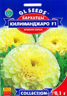 Бархатцы Килиманджаро F1 0,1 г кремово-белые, ТМ GL Seeds