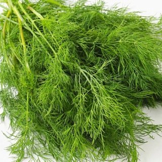 Кріп Терні 500 г, Agri Saaten