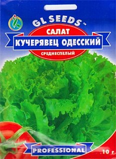 Салат Одеський кучерявець 10 г, ТМ GL Seeds