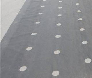 Агроволокно Р-50 чорно-біле перфороване 1,07х100 м, Agreen