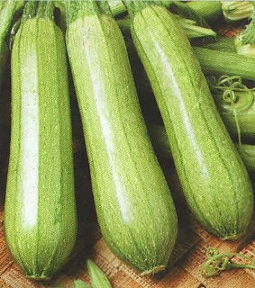 Кабачок Сцилли F1 500 семян цуккини ранний, Seminis
