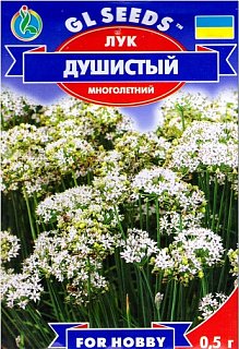 Цибуля запашна 0,5 г на перо раннє, ТМ GL Seeds