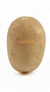 Картопля насіннєва Саванна 25 кг еліта, Нідерланди