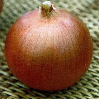 Цибуля Блустер F1 250000 насіння ріпчаста рання, Seminis