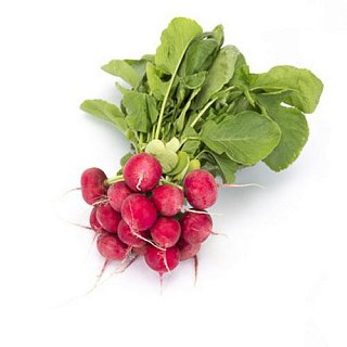 Редис Аксон 100 г ранний, Agri Saaten