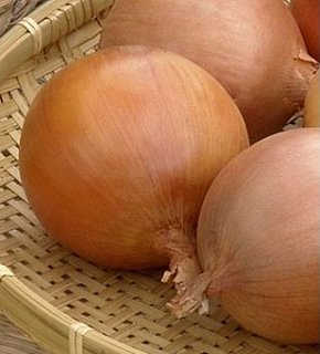 Цибуля Дамаскус F1 250000 насіння ріпчаста середньостигла, Seminis