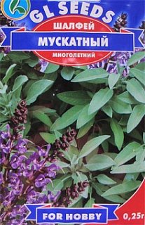 Шавлія мускатна 0,25 г багаторічна, TM GL Seeds