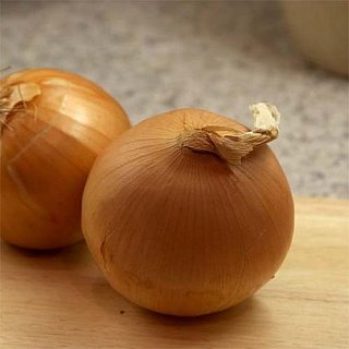 Лук севок (арбажейка) Бургос 500 г округлый золотистый, ТОР