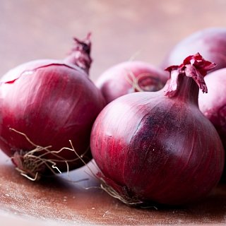 R 4593 F1 цибуля 250.000 шт Seminis