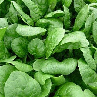 Шпинат Поліден F1 200 г, Agri Saaten