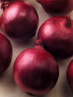 Цибуля Ред Цепелін F1 250000 насіння ріпчастий середньоранній червоний, Seminis