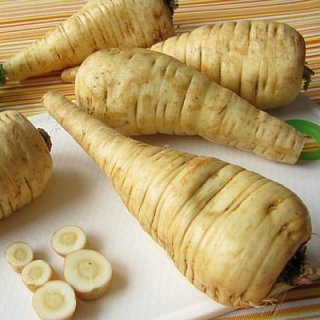 Пастернак Біла Перлина 100 г середньоранній, Agri Saaten