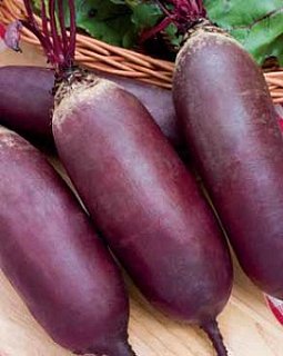 Свекла Цилиндра 500 г столовая среднеспелая