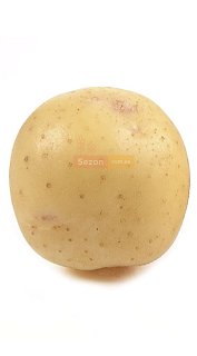 Картопля насінна Електра 25 кг еліта, Нідерланди