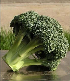 Капуста Айронмен F1 5000 семян брокколи ранняя, Seminis