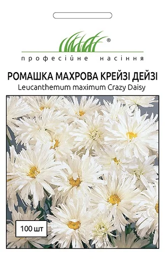 Ромашка махровая Крейзи Дейзи 30 семян белая, Benary flowers
