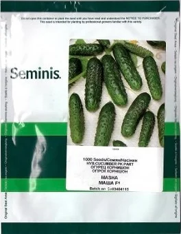 Огірок Маша F1 1000 насінин партенокарпічний ранній, Seminis - Фото 2