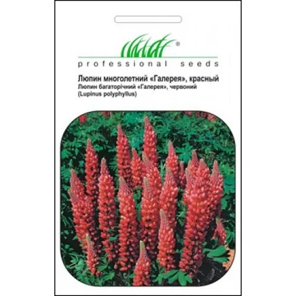 Люпин Фестиваль 0,4 г многолетний красный, Hем Zaden - Фото 2