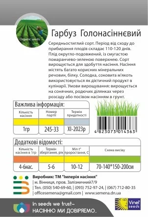 Гарбуз Голосімінний 1 г середньостиглий, Vinel' Seeds - Фото 2
