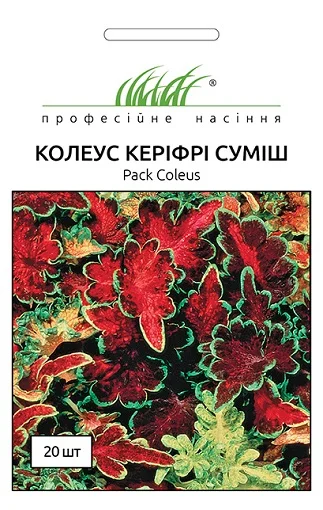 Колеус Блюма Керіфрі 20 насіння суміш, Pan American flowers