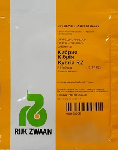Огурец Кибрия F1 250 семян партенокарпический ранний, Rijk Zvaan
