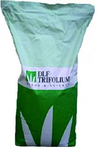 Трава газонна посухостійка 1 кг, DLF Trifolium