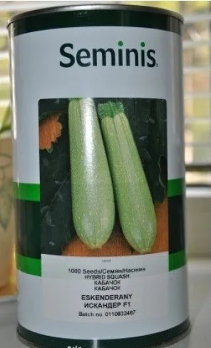 Кабачок Іскандер F1 1000 насінин кущовий ранній, Semenis - Фото 2