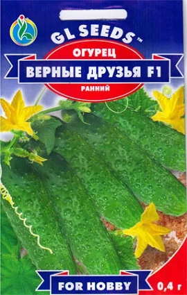 Огурец Верные друзья F1 0,4 г пчелоопыляемый ранний, ТМ GL Seeds