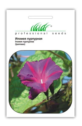 Іпомея пурпурна 1 г, Hем Zaden - Фото 3