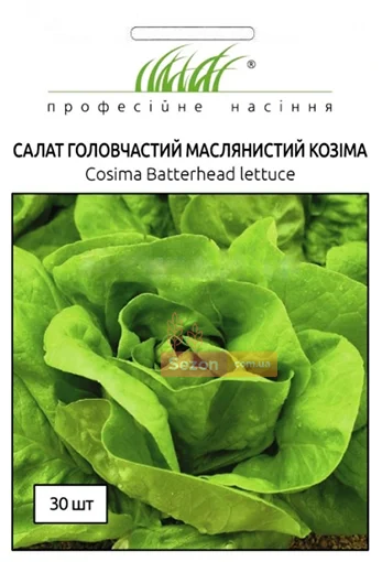 Салат Козима 30 насіння качаний маслянистий, Wing Seed - Фото 3