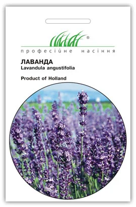 Лаванда лікарська 0,1 г, Hем Zaden - Фото 2