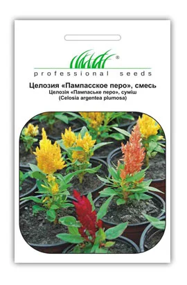 Целозія периста Пампаське Перо 0,1 г суміш, Hем Zaden