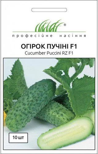 Огірок Пуччіні F1 10 насіння партенокарпічний середньостиглий, Rijk Zvaan