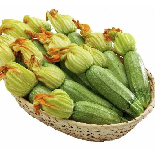 Кабачок Карамболь F1 500 семян цуккини ранний, United Genetics - Фото 2