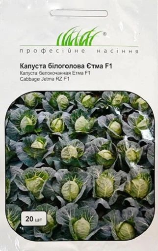 Капуста Этма F1 20 семян белокочанная ультраранняя, Rijk Zvaan - Фото 2